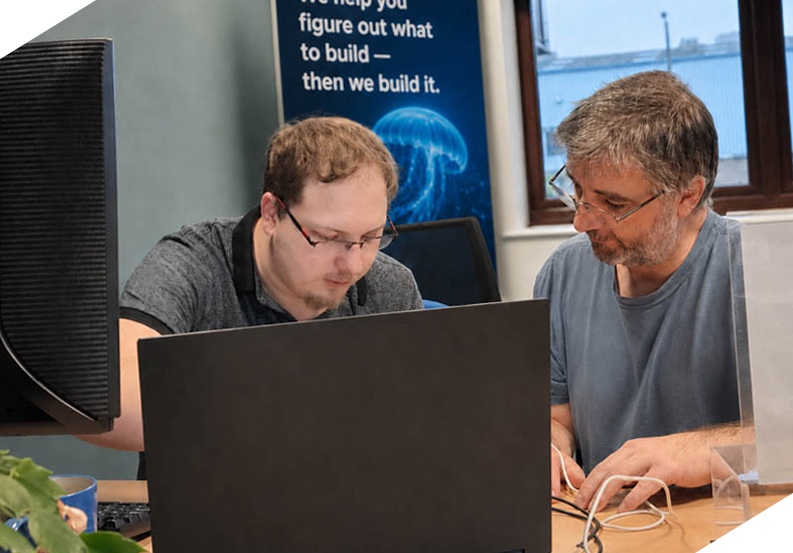 Bespoke software development